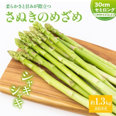 【先行受付2025年】【3～7月発送】さぬきのめざめセミロング30cm(Mサイズ)　約1.3kg