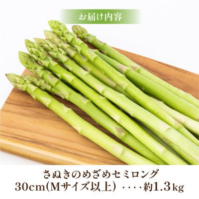 【先行受付2025年】【3～7月発送】さぬきのめざめセミロング30cm(Mサイズ)　約1.3kg