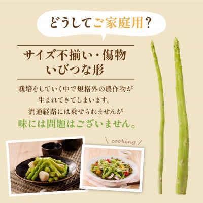 【先行受付2025年】【2～7月発送】ご家庭用　さぬきのめざめセミロング(細物・混合)　約1.5kg