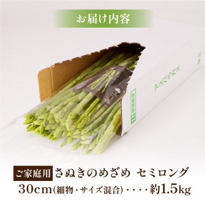 【先行受付2025年】【2～7月発送】ご家庭用　さぬきのめざめセミロング(細物・混合)　約1.5kg