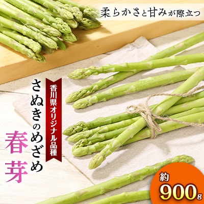 【先行受付2026年】【3～5月発送】柔らかさと甘みが際立つ　さぬきのめざめ春芽　約900g