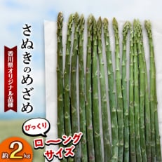 【先行受付2024年】2～5月発送　びっくりロ～ングサイズ　さぬきのめざめロング約50cm　約2kg