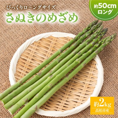 【先行受付2026年】びっくりロ～ングサイズ　さぬきのめざめロング約50cm　約2kg