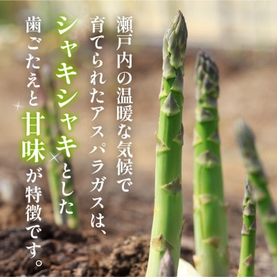 【先行受付2025年】グリーン(約500g)・ホワイト(約300g)アスパラガス食べ比べセット