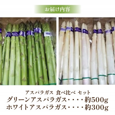 【先行受付2025年】グリーン(約500g)・ホワイト(約300g)アスパラガス食べ比べセット