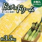 【先行受付2025年】食べ応え抜群　太物2Lサイズ以上!ドルチェドリーム　約3.5kg
