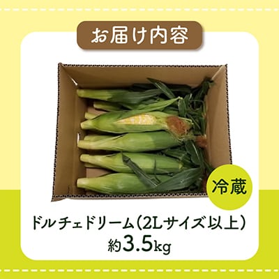 【先行受付2025年】食べ応え抜群　太物2Lサイズ以上!ドルチェドリーム　約3.5kg
