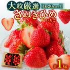 大粒厳選(1粒20g以上)!さぬきひめいちご　約1kg
