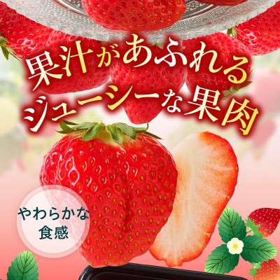 大粒厳選(1粒20g以上)!さぬきひめいちご　約1kg