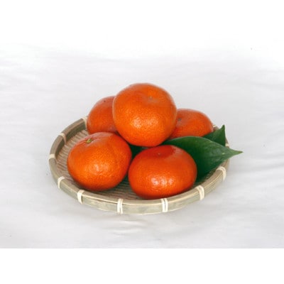 小原紅早生みかん(金時紅)大玉サイズ　約3kg