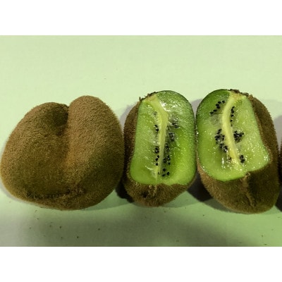 《感謝企画》【数量限定!】ご家庭用香緑キウイ　約1.5kg