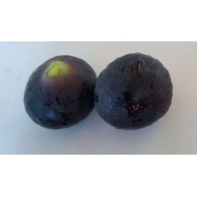 【数量限定!】ご家庭用黒いちじく(サイズ混合)　約1kg