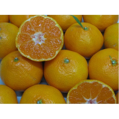 瀬戸内温州みかん(2L～Mサイズ)約5kg【11月下旬～1月下旬配送予定】