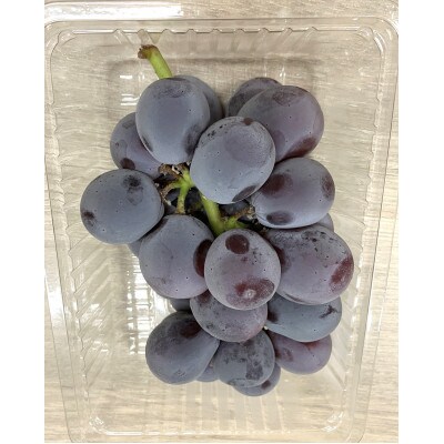 【小分けパック入り】パクパク食べられる・ピオーネパック　約1.2kg以上