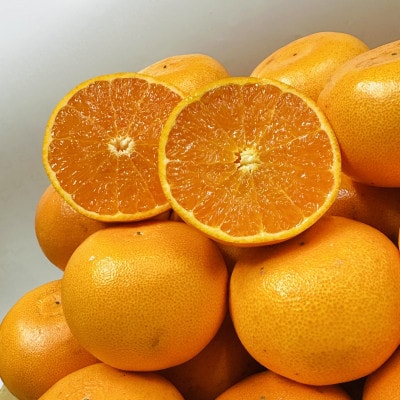 【期間限定!】濃厚でとろける果肉「せとか」　約3kg