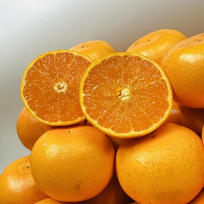 【期間限定!】濃厚でとろける果肉「せとか」(より濃厚な小玉サイズ)　約5kg