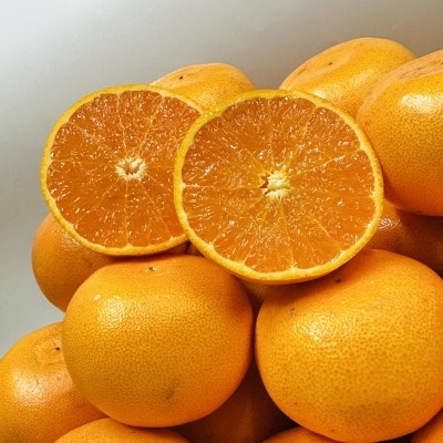 【期間限定!】濃厚でとろける果肉「せとか」(ご家庭用)　約5kg