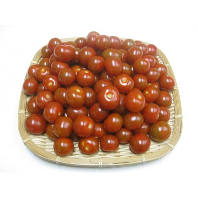 【先行受付2027年】ご家庭用ミニトマト　約1kg