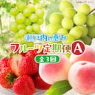 【発送月固定定期便】高松市自慢のフルーツ【A】全3回