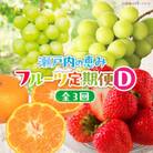 【発送月固定定期便】高松市自慢のフルーツ【D】全3回