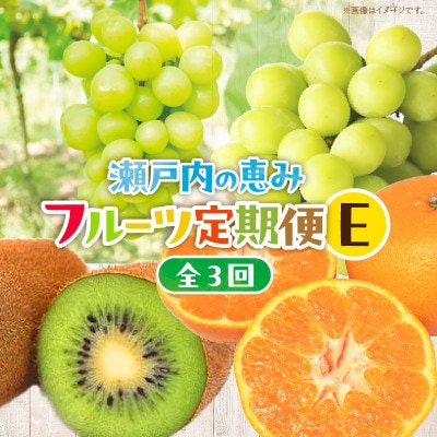 【発送月固定定期便】高松市自慢のフルーツ【E】全3回