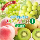 【発送月固定定期便】【ALL化粧箱】高松市自慢のフルーツ【I】全3回