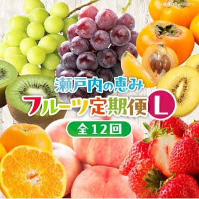【発送月固定定期便】高松市自慢のフルーツ【L】全12回