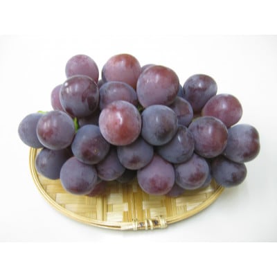 【発送月固定定期便】【ご家庭用】高松市のぶどう【M】全2回