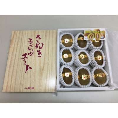 【発送月固定定期便】【ALL化粧箱】高松市自慢のキウイフルーツ【A】全3回