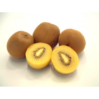 【発送月固定定期便】高松市自慢のキウイフルーツ【B】全4回