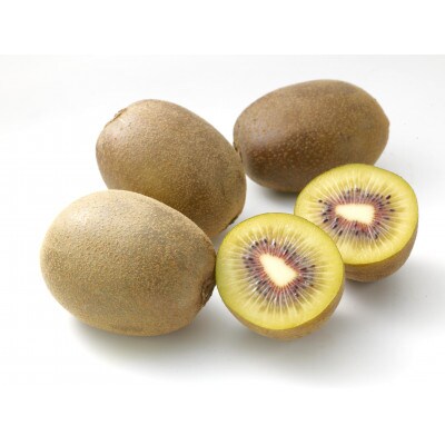 【発送月固定定期便】高松市自慢のキウイフルーツ【B】全4回