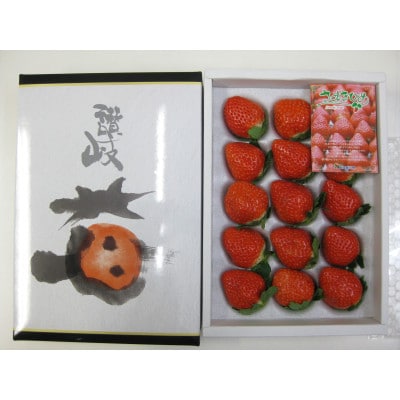 【発送月固定定期便】【ALL化粧箱】高松市自慢のいちご【C】全4回