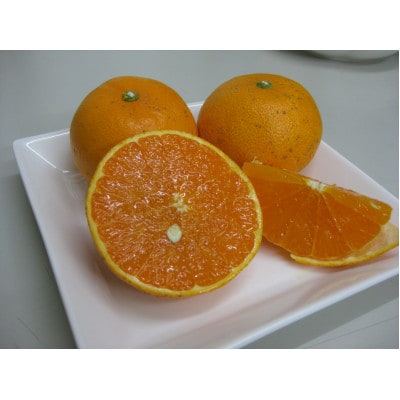 【発送月固定定期便】【ご家庭用】高松市のみかん・柑橘【C】全6回