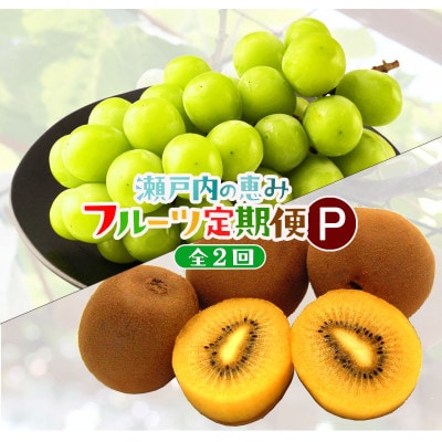 【発送月固定定期便】高松市自慢のフルーツ【P】全2回