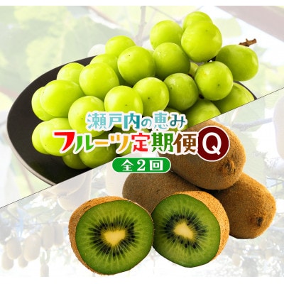 【発送月固定定期便】高松市自慢のフルーツ【Q】全2回