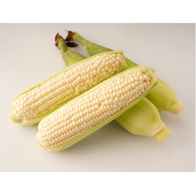 【発送月固定定期便】高松市自慢のフルーツ・野菜【A】全12回