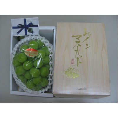 【発送月固定定期便】【ALL化粧箱】高松市自慢のフルーツ定期便【T】全2回