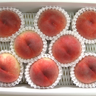 年6月発送開始 定期便 野菜 果物 花 米の12ヵ月定期便全12回 お礼品詳細 ふるさと納税なら さとふる 年6月発送開始 定期便 野菜 果物 花 米の12ヵ月定期便全12回 お礼品詳細 ふるさと納税なら さとふる