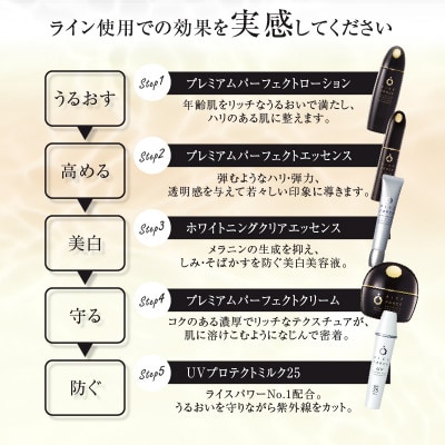 ライスフォース  プレミアムパーフェクトW美白セット