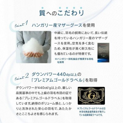 高級シルク100%カバー付きハンガリーマザーグース羽毛ふとん3点セット　IV