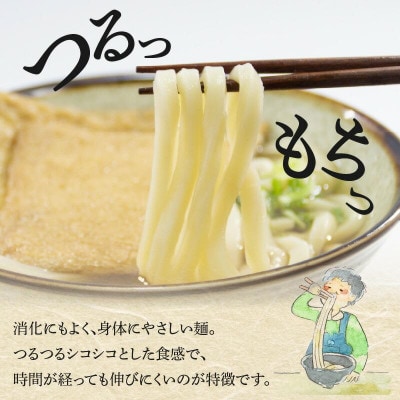【製麺所直送】乾燥讃岐手打ちうどん普通麺6袋 ・ 細麺6袋(24食分)だし付