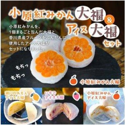小原紅みかん大福(6個)&アイス大福3種(各2個)セット