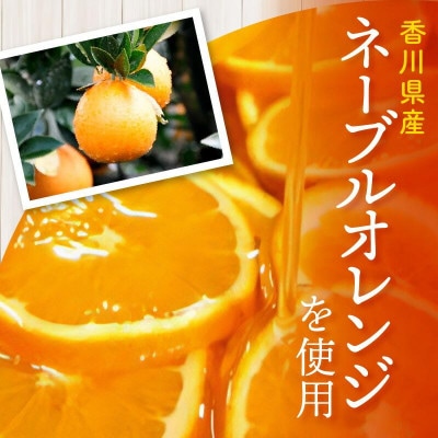 瀬戸内芳醇オレンジケーキ(小丸6個入)