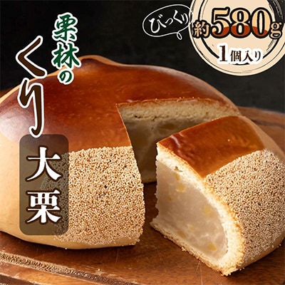 栗林のくり　大栗