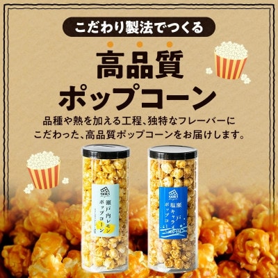 外はカリカリ!中はふんわり!リッチポップコーン　2種セット(瀬戸内レモン&瀬戸内塩キャラメル)