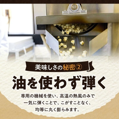 外はカリカリ!中はふんわり!リッチポップコーン　2種セット(小豆島醤油&瀬戸内塩キャラメル)
