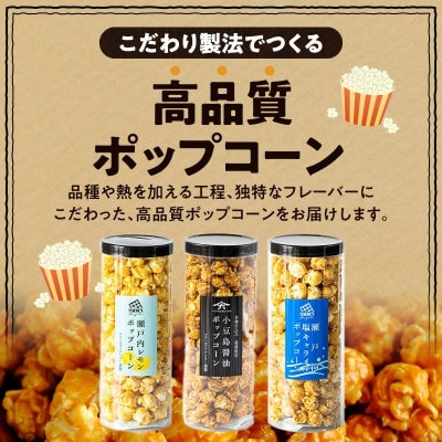 外はカリッ!中ふんわり!リッチポップコーン3種セット(瀬戸内レモン&小豆島醤油&瀬戸内塩キャラメル)