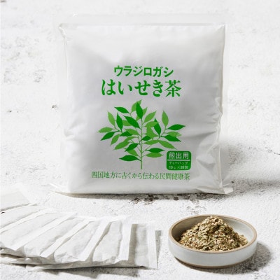 ウラジロガシ はいせき茶