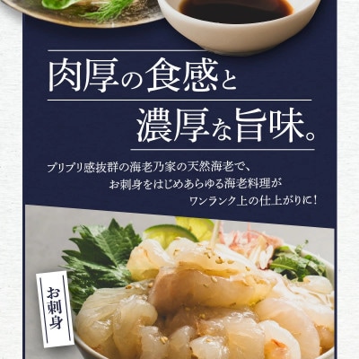 海老乃家の海老【天然むき海老1kg】(ギフトパッケージ)