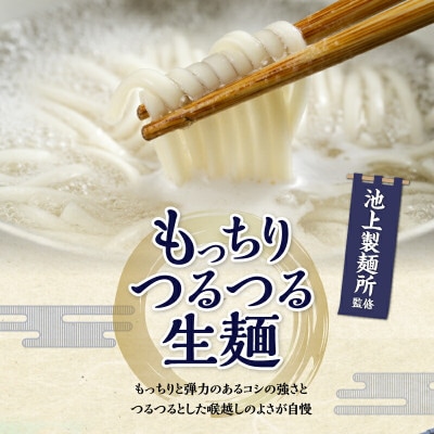本家　池上製麺所　さぬきうどん 9食 (釜たまうどん醤油&鎌田だし醤油付き)